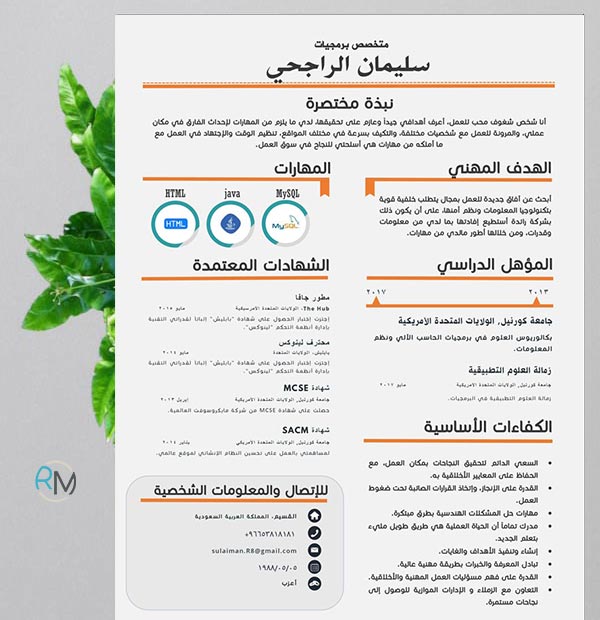 echo-beautiful-editable-arabic-resume-template-resumes-mag-resume