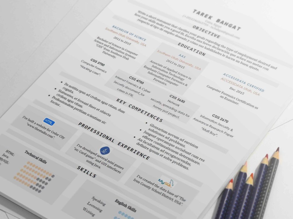 Tabula Well Organized One Page Resume Template Resumes Mag Resume Templates Service 5048