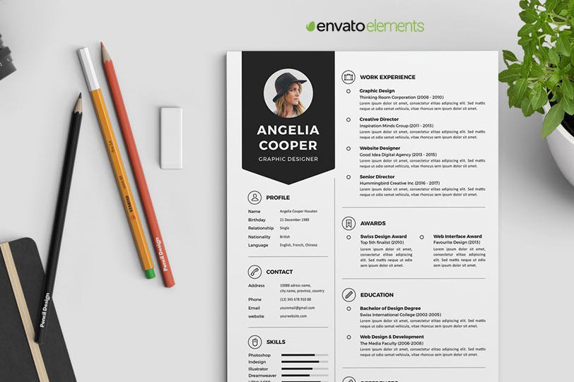 Professional Clean Resume Template 2 - Envato Elements