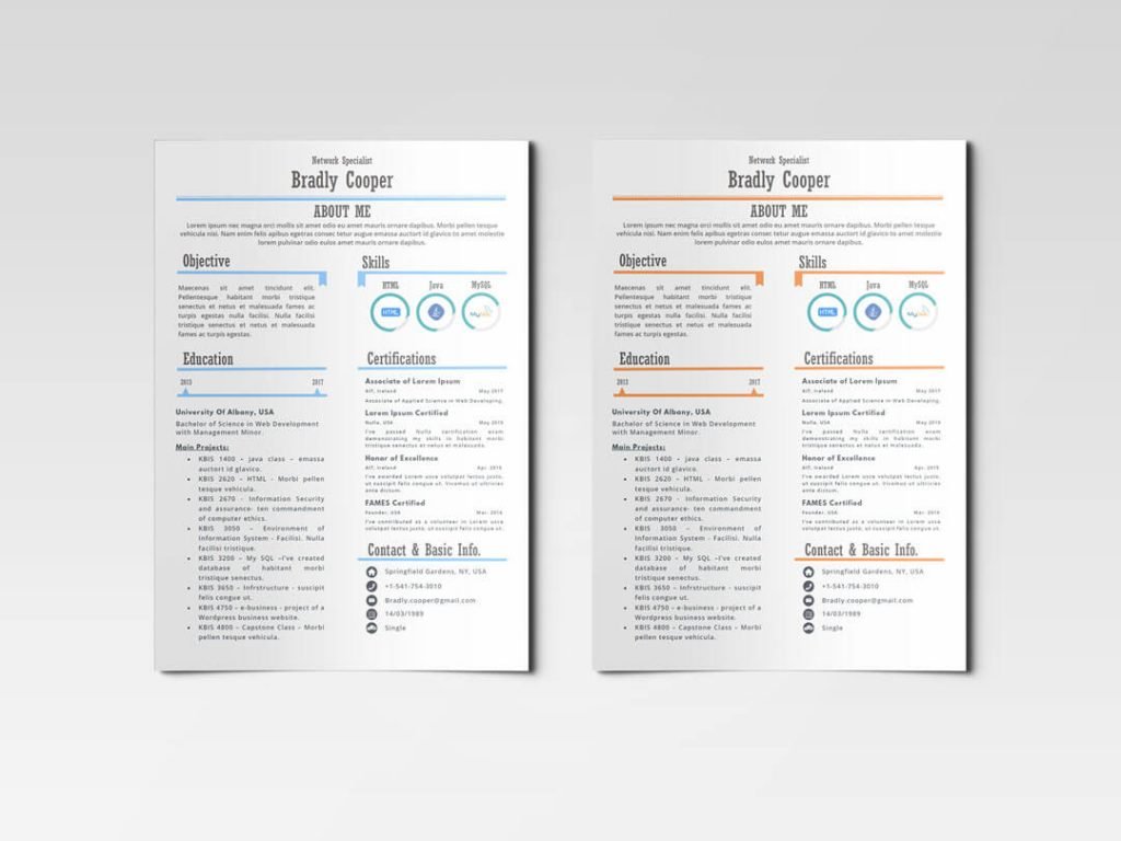 Aloha-01_Orange and Light blue_ Infographic Resume Template