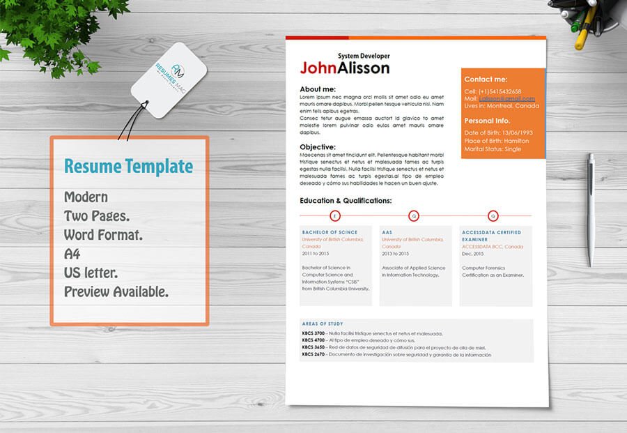 Caren_Two Page Resume Template